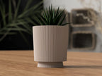 Juno bloempot